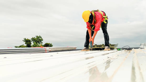 Best Roof Waterproofing  in USA